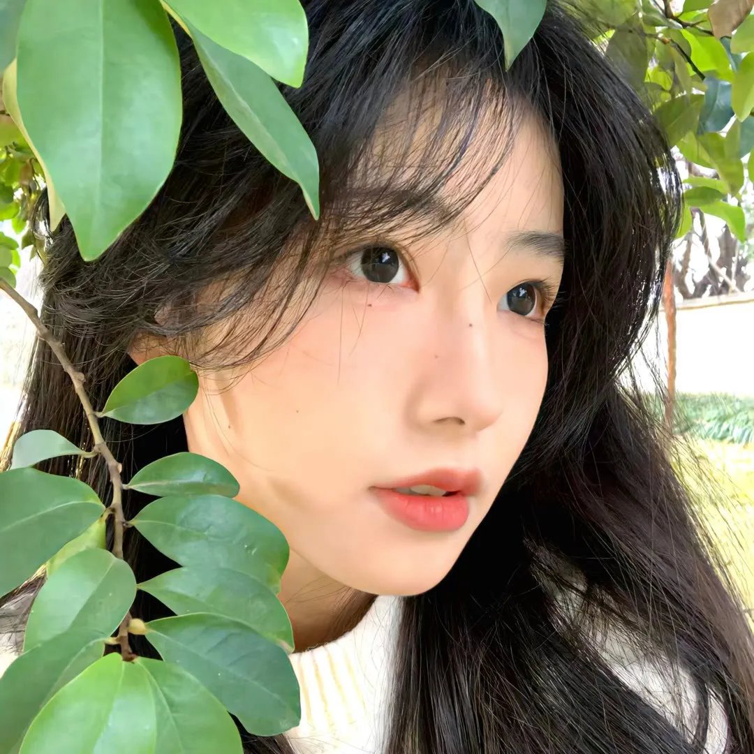 复仇战士
